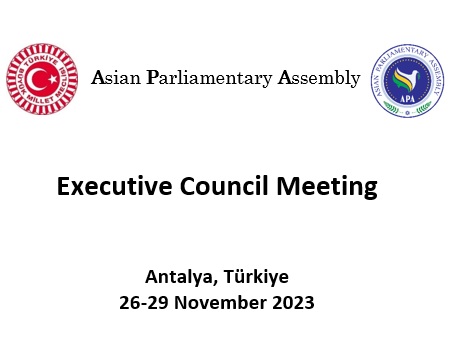  APA Executive Council Meeting 2023
